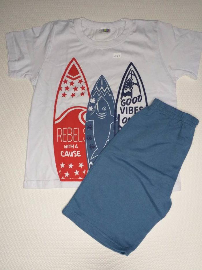 Conjunto Pranchas de Surf